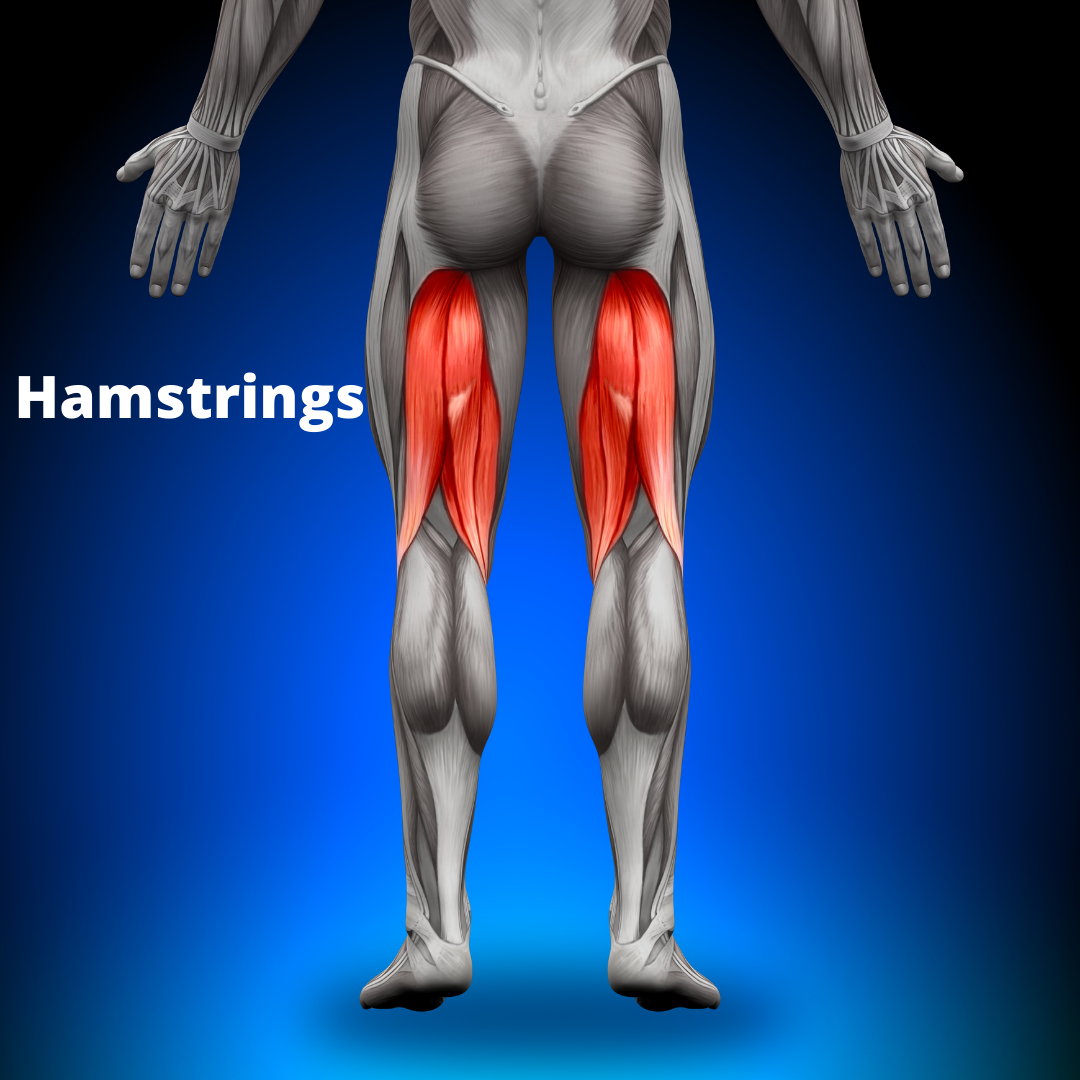 Exercises to Decrease Low Back Pain - The Senior Centered PT